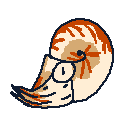 Nautiluses