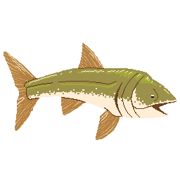 Leedsichthys
