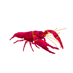 Crayfish