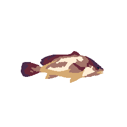 Drum