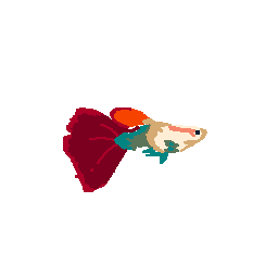 Guppy