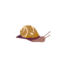 Snail