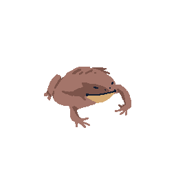 Toad