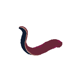 Leech