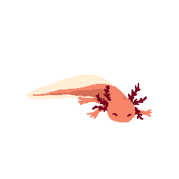 Axolotl