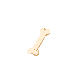 Bone