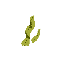 Weed