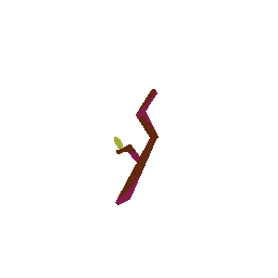Branch
