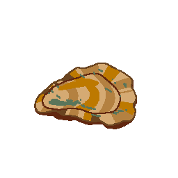 Oyster