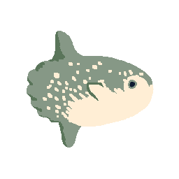 Sunfish