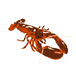 Lobster