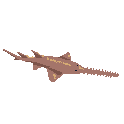 Sawfish