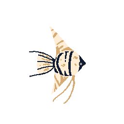 Angelfish