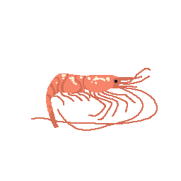 Shrimp