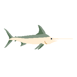 Swordfish