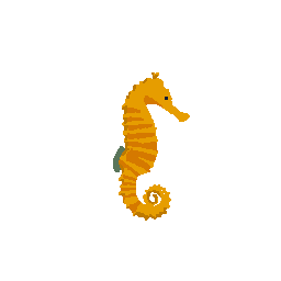 Seahorse