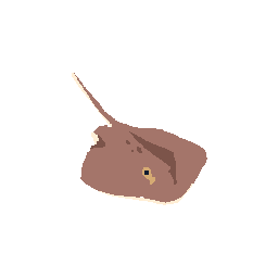 Sting Ray