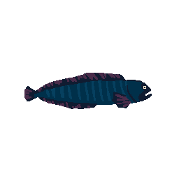 Wolffish