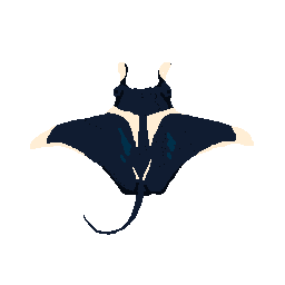 Manta Ray