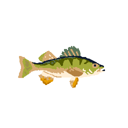 Perch