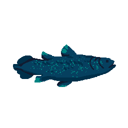 Coelacanth