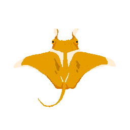 Golden Manta Ray