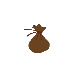 Coin Bag