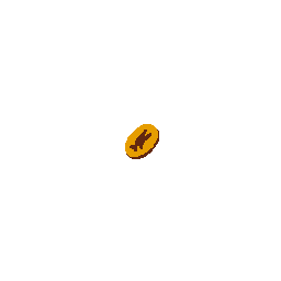 Old Coin