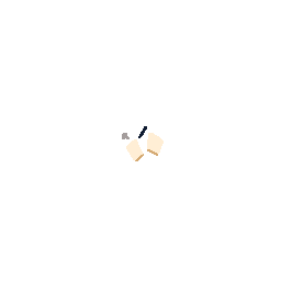 Watch Fragment