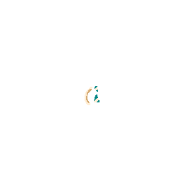 Monocle Fragment