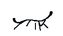 Bite
