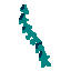 Spectral Spine
